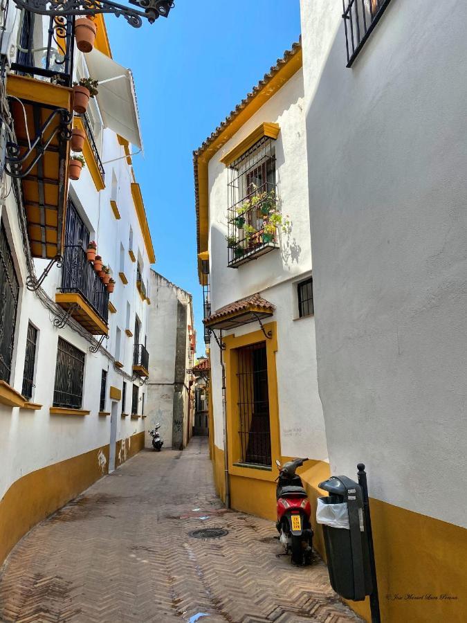 Apartamento San Clemente Севилья Экстерьер фото